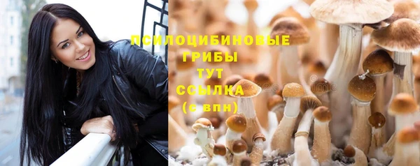spice Алексеевка