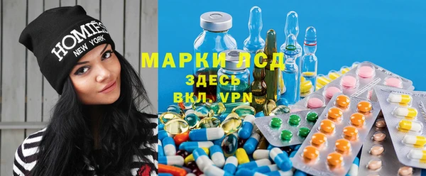 spice Алексеевка